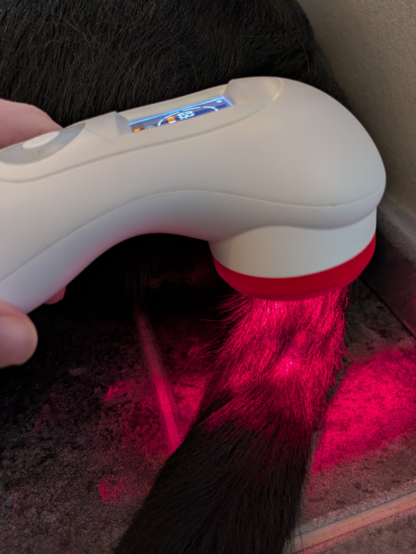 Hotspotin hoitoa laserilla.